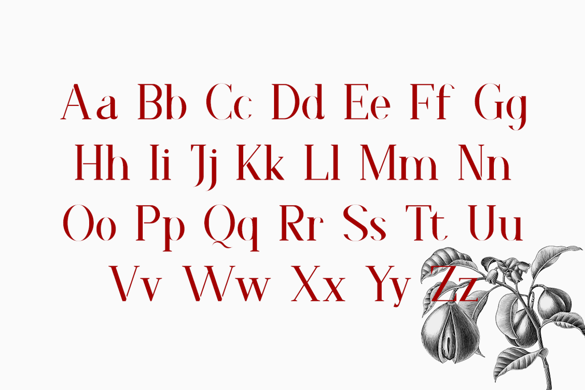 Faradize - Elegant Serif Font, a Serif Font by RockboyStd (Photo 10 of 12)