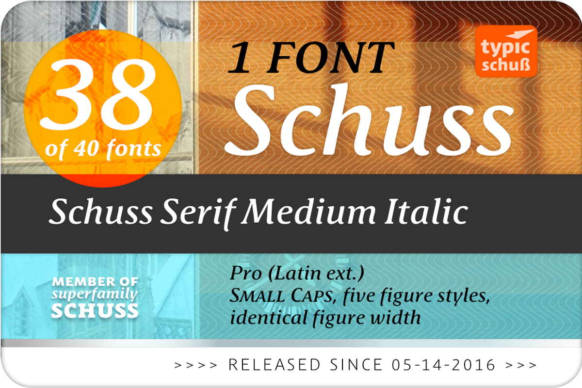 SchussSerifProMedIta No.38 (1 Font) preview 2