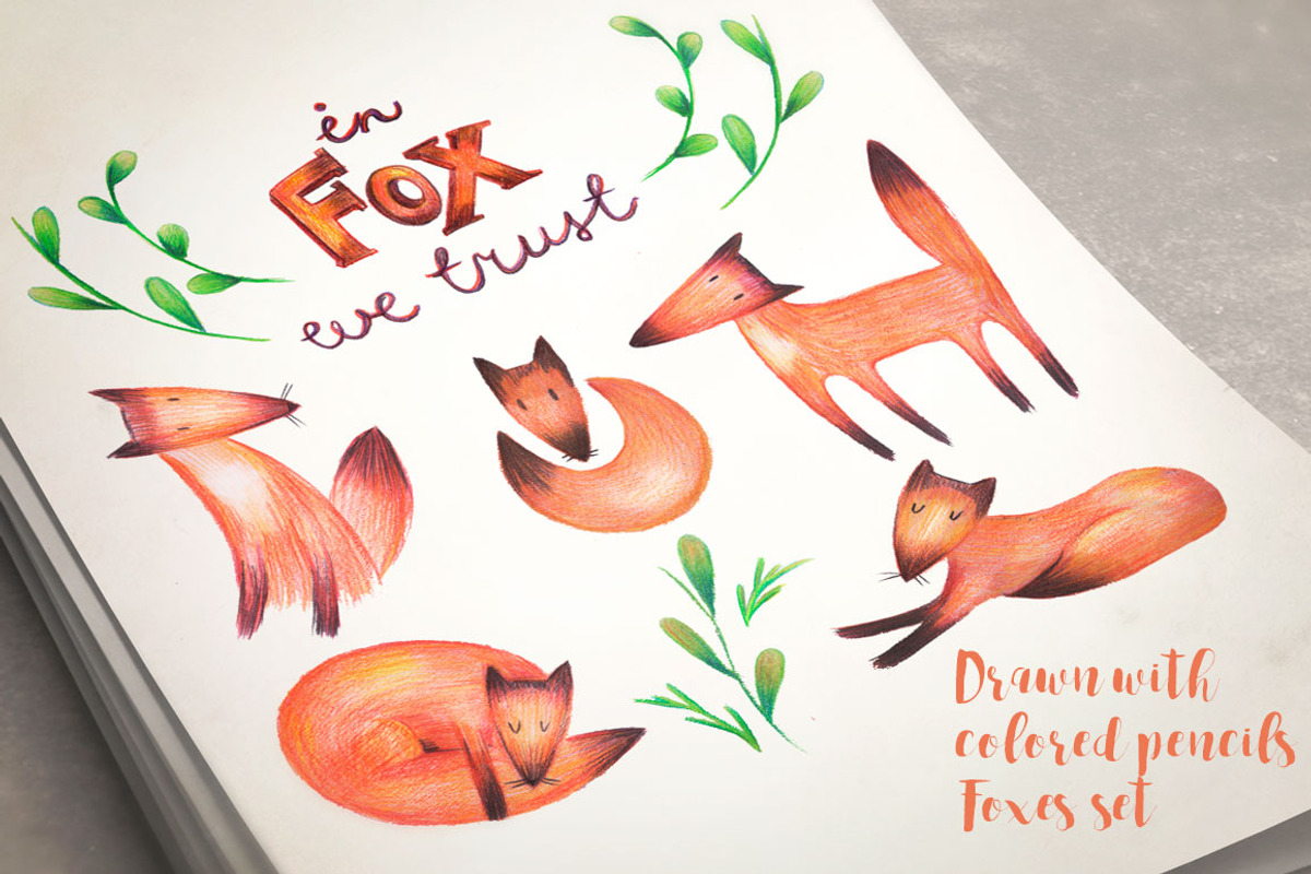 Foxes set, an Animal Illustration by Kotozoid (Photo 1 of 2)