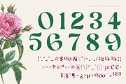 AEKIY KAGON — Elegant Bold Serif, a Serif Font by Enxyclo Studio (Thumbnail 15 of 21)