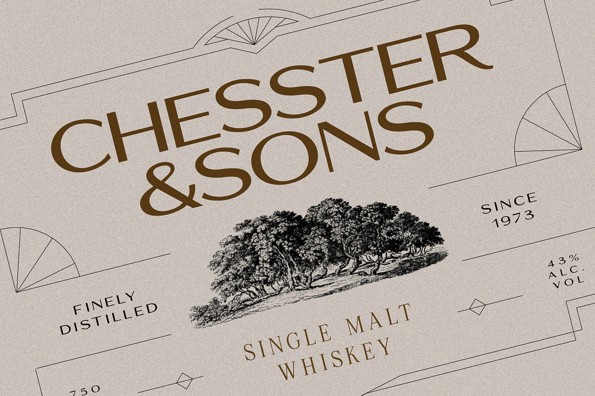 Preston - Classy All-caps Sans, a Sans Serif Font by Harmonais Visual (Photo 6 of 10)