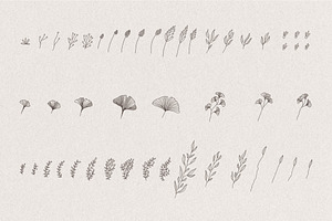 Set Of Hand Drawn Greenery