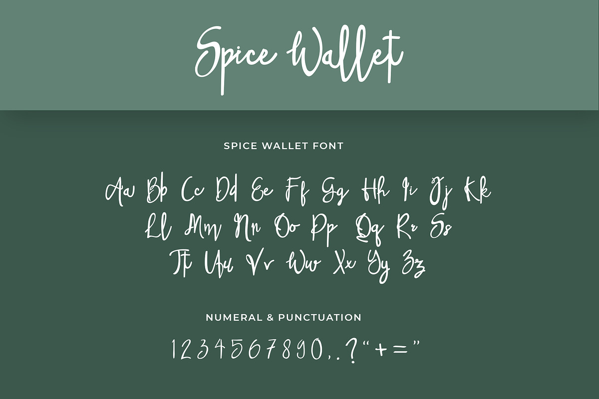 Spice Wallet Handwritten Font preview 5
