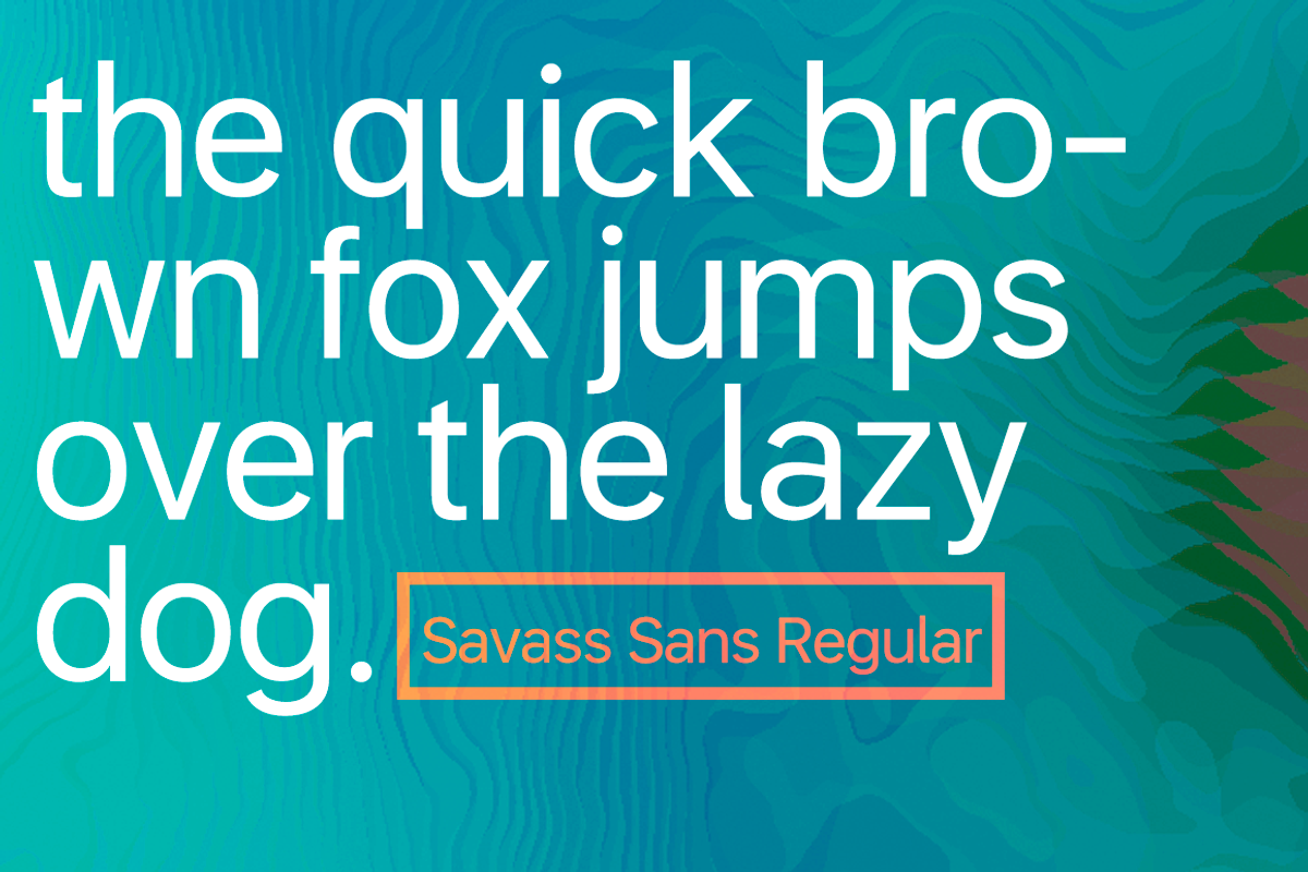 Savass Sans, a Sans Serif Font by Alvotype (Photo 3 of 5)