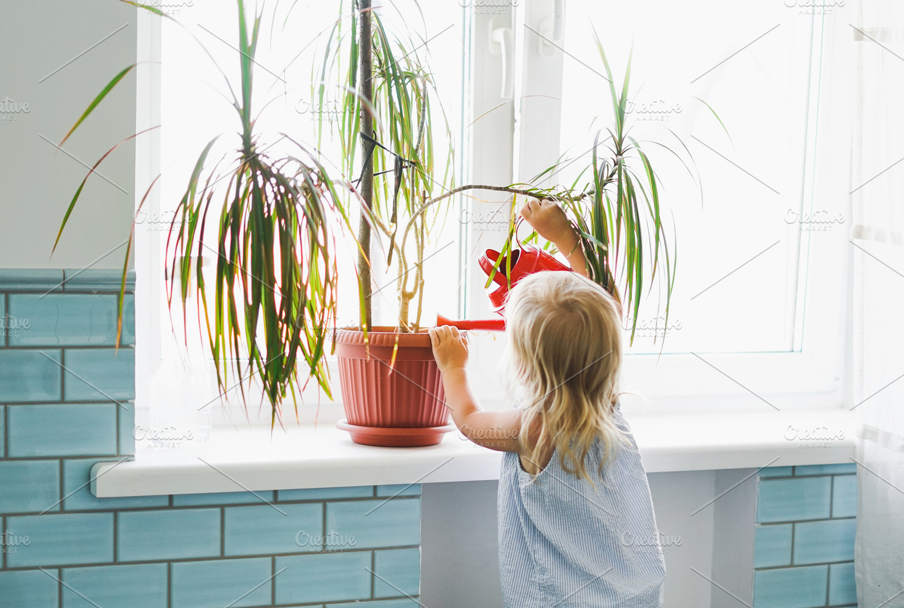 Cute baby girl watering house plant, a Person Photo by Galina_Zhigalova