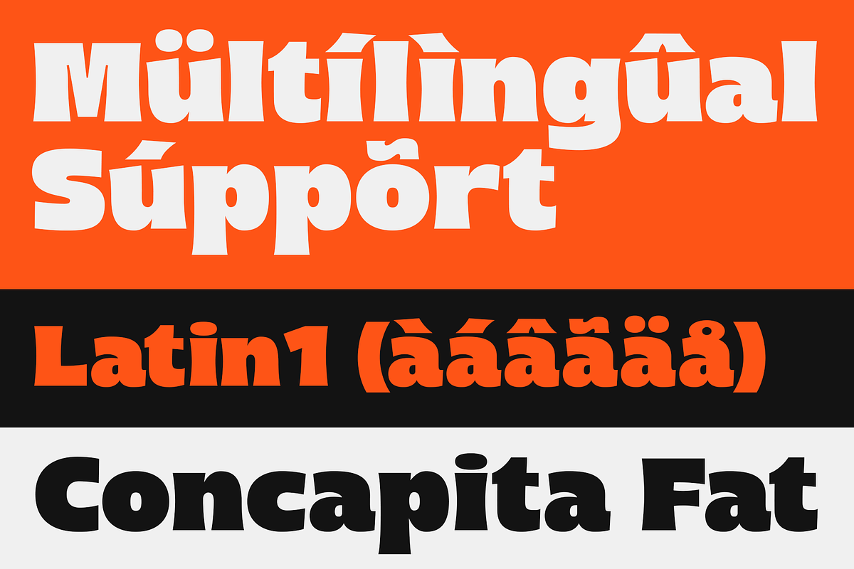 Concapita - Fat Display, a Sans Serif Font by LoneArmy (Photo 13 of 15)