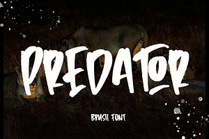 Predator - Brush Font