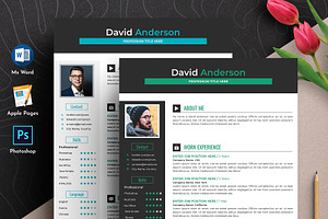 Professional Resume Cv Word Pages
