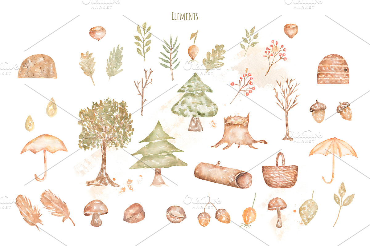 Cute Woodland Friends Collection, an Animal Illustration by MayaNavits (Photo 5 of 12)