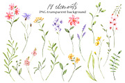 Wild flowers, watercolor clipart PNG, a Decorative Illustration by Larisa Maslova (Thumbnail 3 of 8)