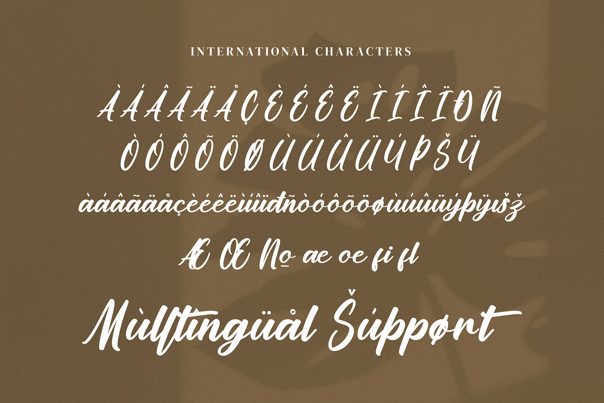 Whicleena, a Handwritten Font by Goresan Studio (Photo 11 of 15)