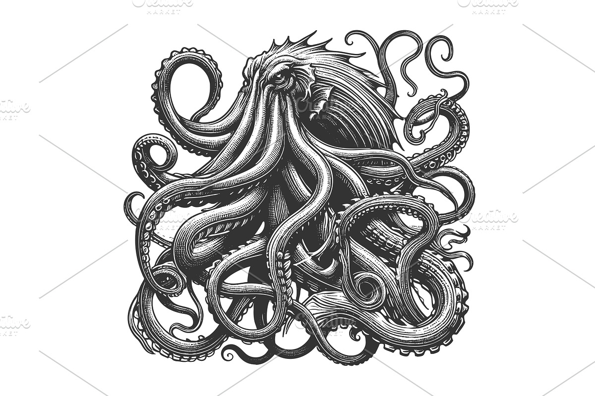 Octopus Kraken Creature with, an Animal Illustration by AlexArt