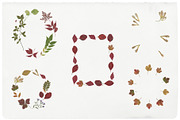 Fall Press & Thread - Collage Kit, an Object Graphic by Watercolor_Ma (Thumbnail 9 of 10)