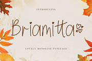 Briamitta, a Script Font by AEN Creative Studio (Thumbnail 1 of 9)
