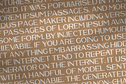 Waldecry A Modern Serif Font, a Serif Font by Storytype Studio (Thumbnail 9 of 15)