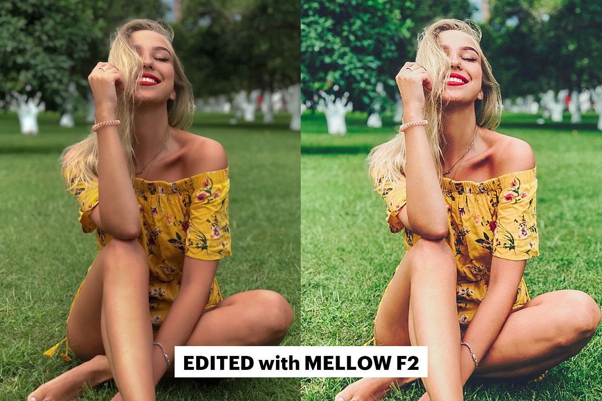 70 Lightroom Presets Artist Bundle, an Action Add-On by Willa (Photo 7 of 23)