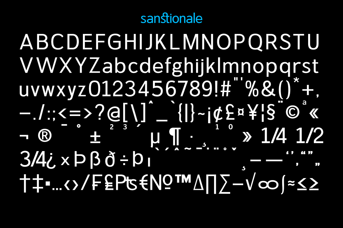Sanstionale _ Modern Sans Family, a Font by zamjumps (Photo 10 of 12)