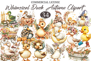Whimsical Duck Clipart Bundle, a Seasonal Illustration by designcity5
