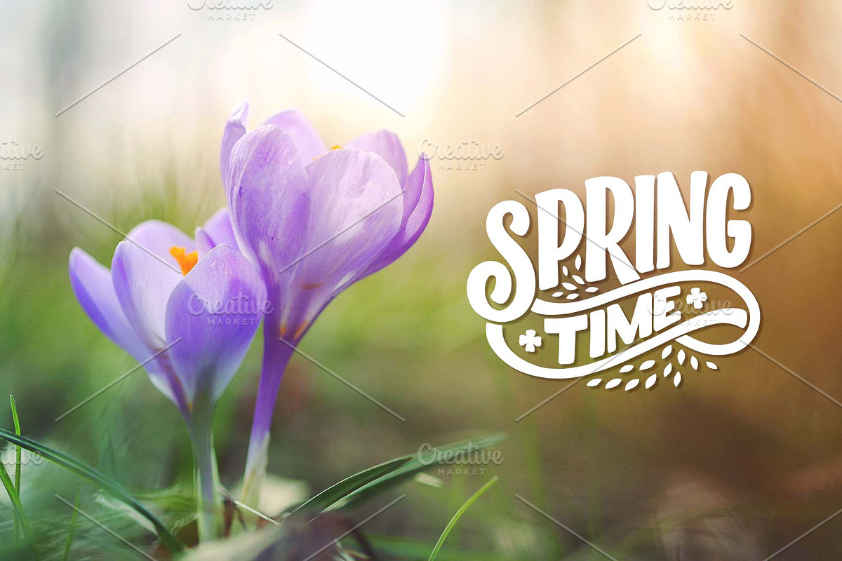 Spring Lettering Quotes, a Decorative Illustration by Artlana (Photo 4 of 4)