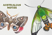 Australian Moths hand painted, an Animal Illustration by FITALARTSNEDIGI (Thumbnail 4 of 8)
