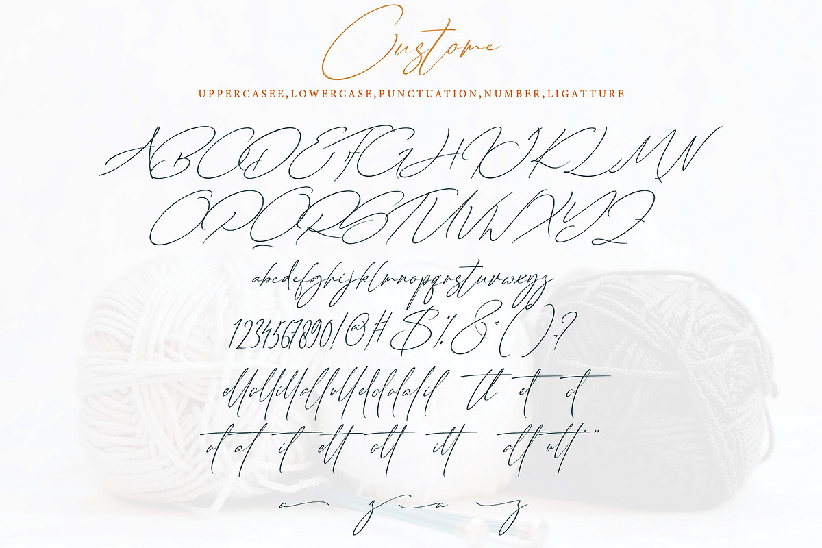 Custome, a Script Font by pineungtype (Photo 6 of 6)