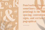 Regint | Display Serif, a Serif Font by Runsell Studio (Thumbnail 6 of 15)