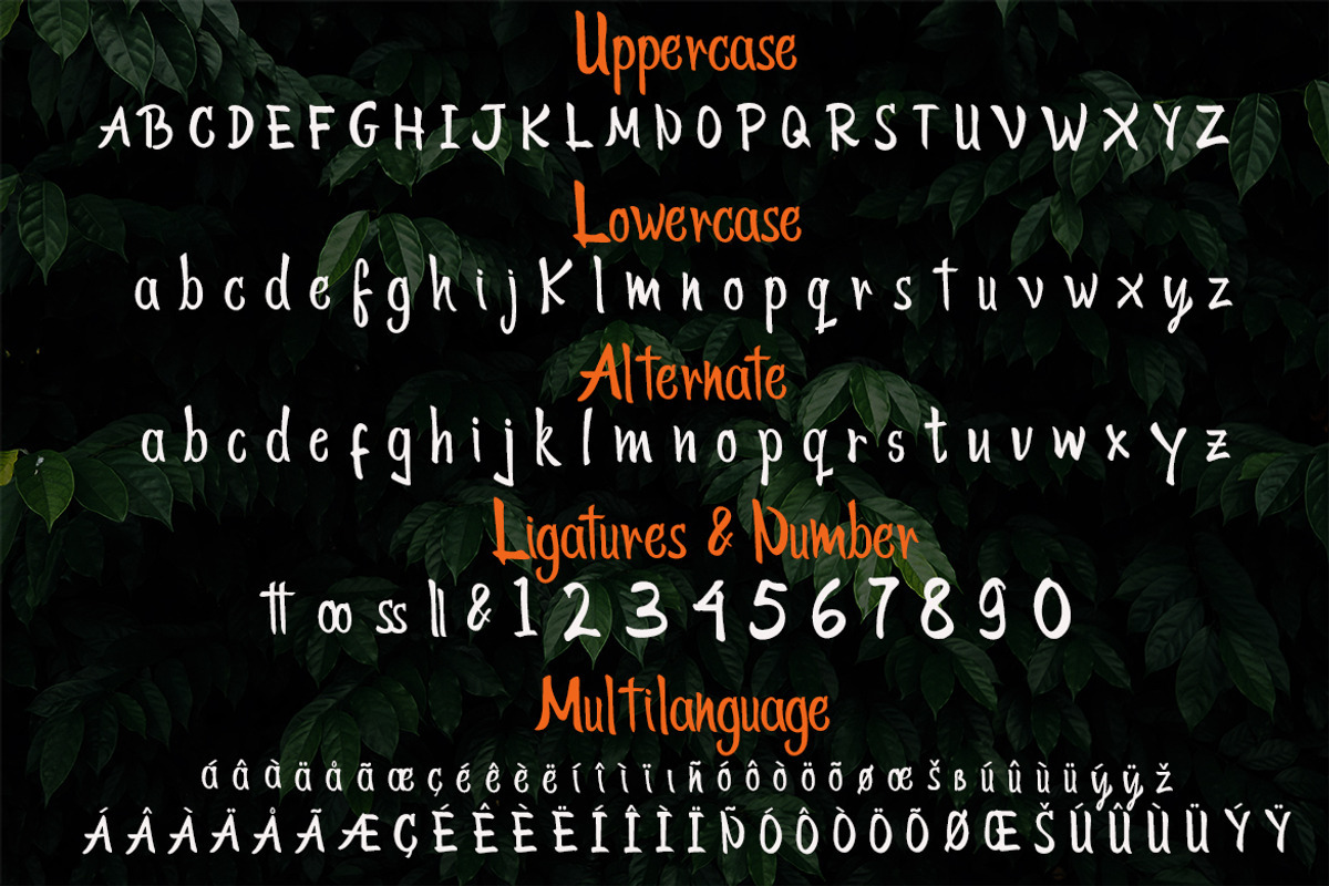 Tokyo Street - Handwritten Typeface, a Font by Wellscript Studio (Photo 7 of 7)