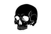 50 Skull Head Silhouette Vector Bund, an Illustration by Creativeshirt (Thumbnail 32 of 51)