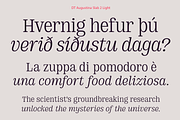 DT Augustina Slab 2 Subfamily, a Slab Serif Font by Deveze Type Foundry (Thumbnail 6 of 30)