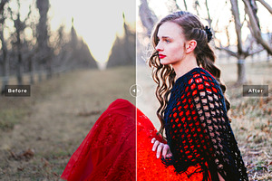 Cardinal Pro Lightroom Presets