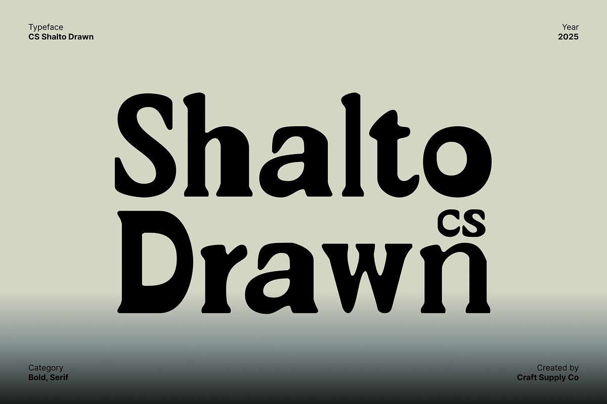 CS Shalto Drawn, a Serif Font by Craft Supply Co. (Photo 1 of 8)