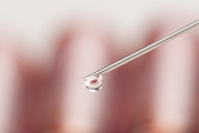 Syringe and ampules featuring syringe, squirt, and ampule, a Health & Medical Photo by Alexander62 (Thumbnail 1 of 2)