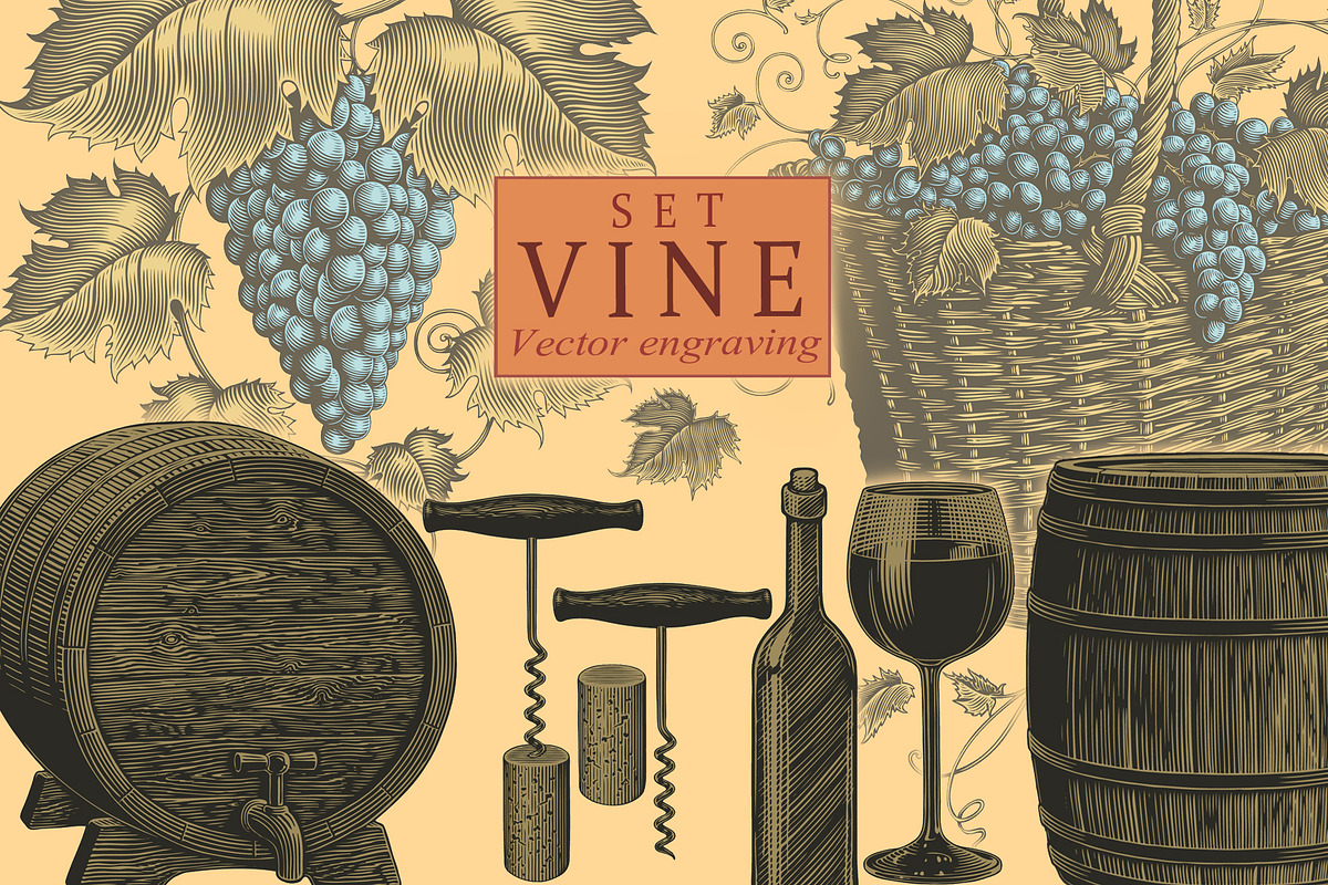 Design set Vine. Vector engraving, a Decorative Illustration by Vector Engraving (Photo 1 of 4)