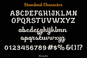 Eliavony Retro Script, a Script Font by madeDeduk (Thumbnail 3 of 8)