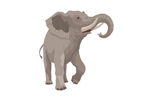 Flat vector elephant in poses, an Animal Illustration by the8monkey