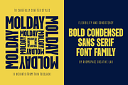 Molday – Modern Font Family, a Sans Serif Font by roomspace creative lab (Thumbnail 7 of 13)