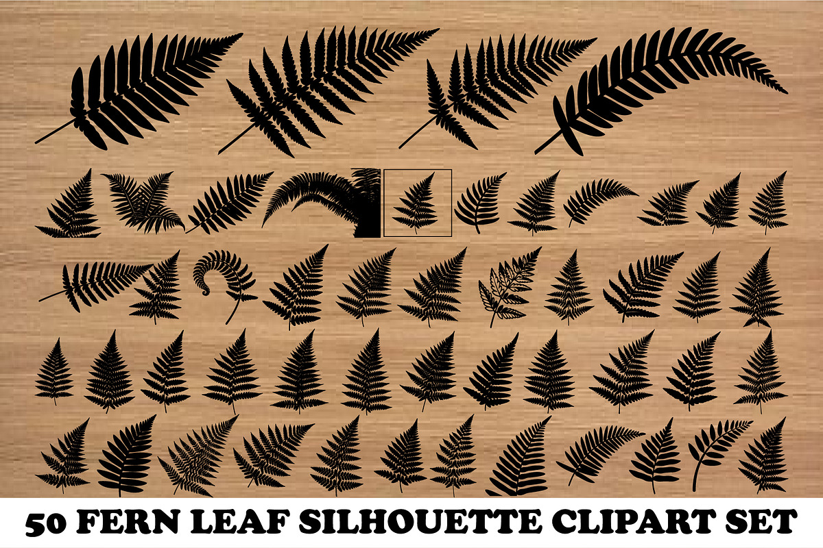 Fern Leaf Silhouette PNG Vector Set, an Object Illustration by Amazin_art (Photo 1 of 4)