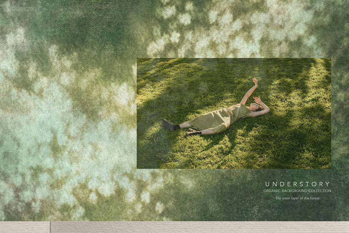 Understory Organic Backgrounds, a Background Graphic by alonahaidash (Photo 12 of 15)