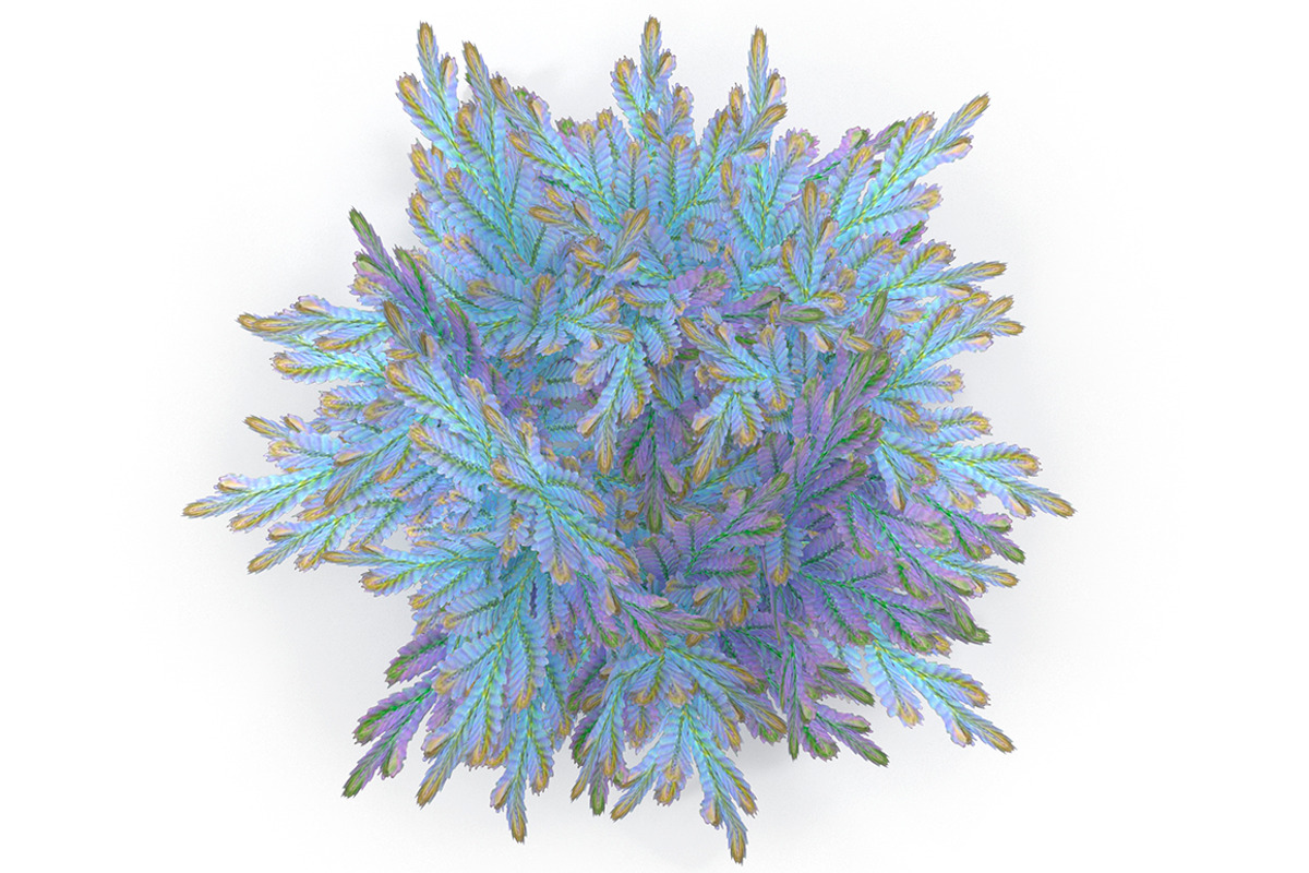 Selaginella V3, an Environmental 3D Model by AndrewWhite (Photo 1 of 9)