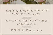 Wistle – Elegant Stylish Serif, a Serif Font by Almeera Std (Thumbnail 10 of 10)