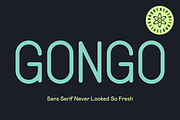 Gongo Sans Serif - 2 Fonts, a Sans Serif Font by HyperFluro (Thumbnail 1 of 5)