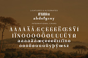 Basfegu A New Display Serif Font, a Serif Font by Storytype Studio (Thumbnail 14 of 15)