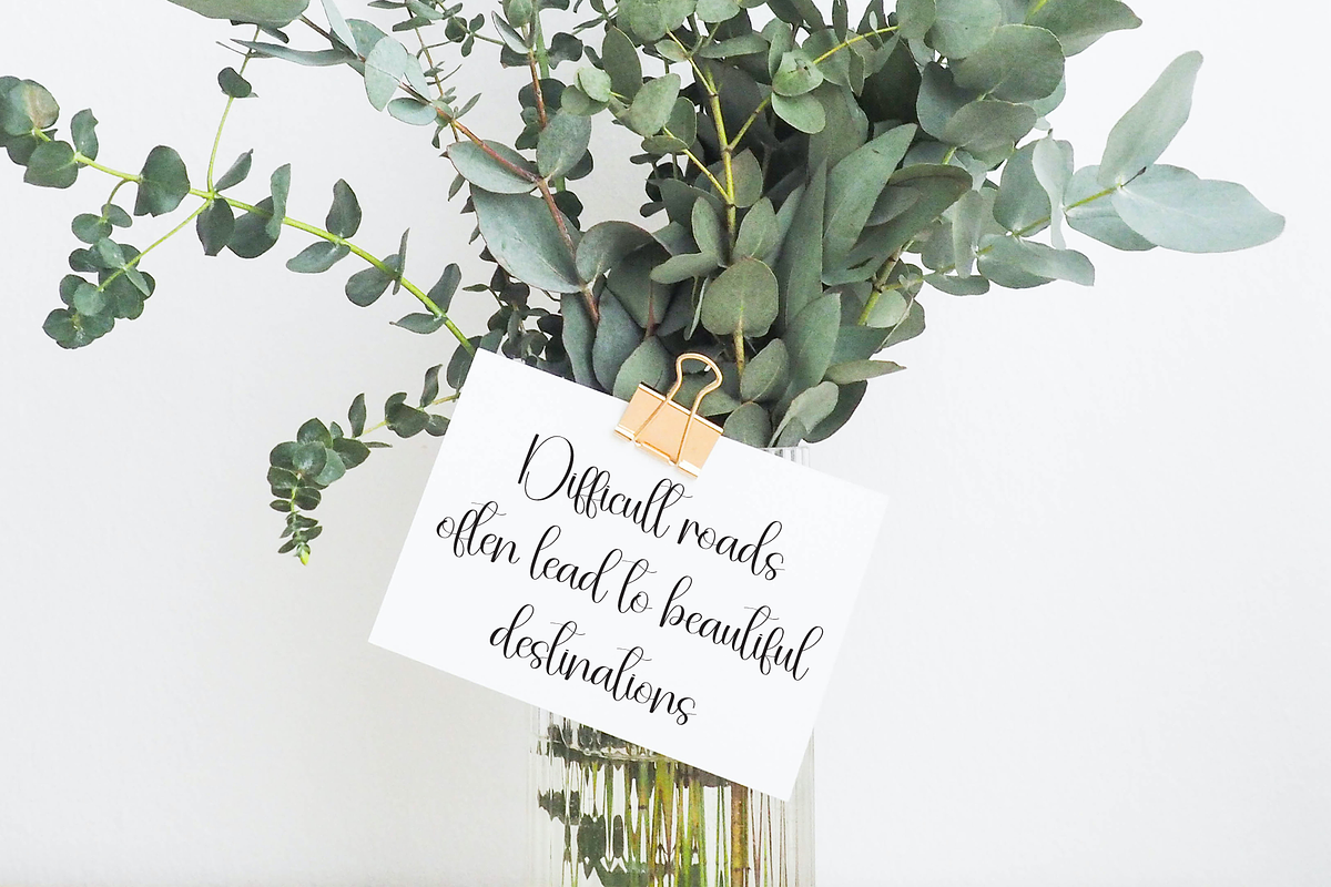 Elephant | Script Font, a Handwritten Font by Scratchones (Photo 5 of 9)
