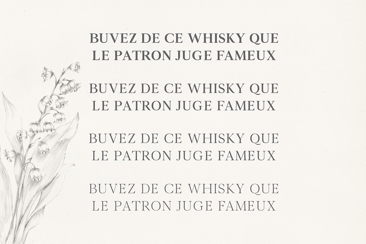 Denish Sans & Serif Duo Font Family, a Serif Font by Creativetacos (Photo 4 of 12)