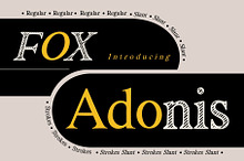 Fox Adonis: 4 Font Styles