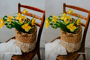Kodak Ektar 100 II, a Preset Add-On by colorituals (Thumbnail 4 of 8)