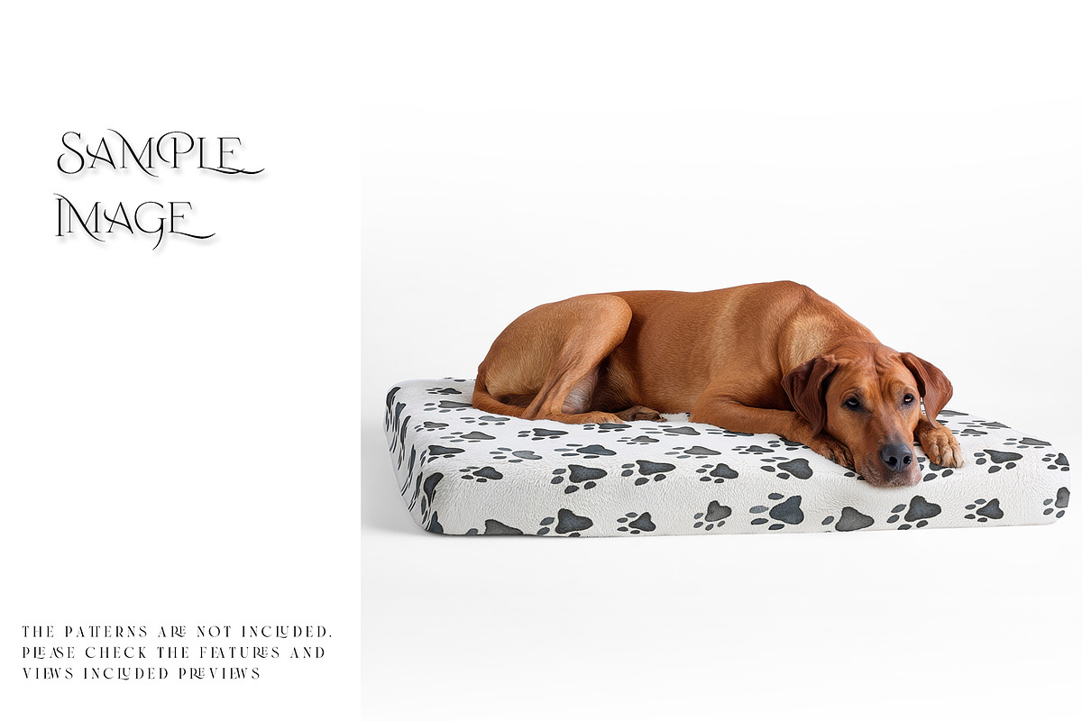 Pet Bed Mockups with Smart Object, a Product Mockup by mock-ups (Photo 8 of 13)