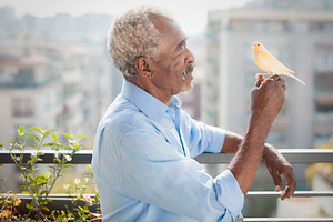 Elderly man holding yellow bird on balcony, a Person Photo by DanFLCreativo