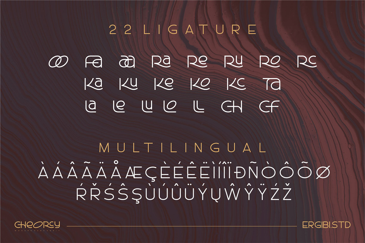 Cheorcy |Modern Sans|, a Sans Serif Font by ErgibiStudio (Photo 11 of 11)