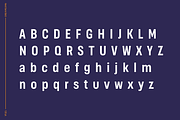 Herd | Condensed Sans Font Family, a Sans Serif Font by Wahyu & Sani Co. (Thumbnail 5 of 11)